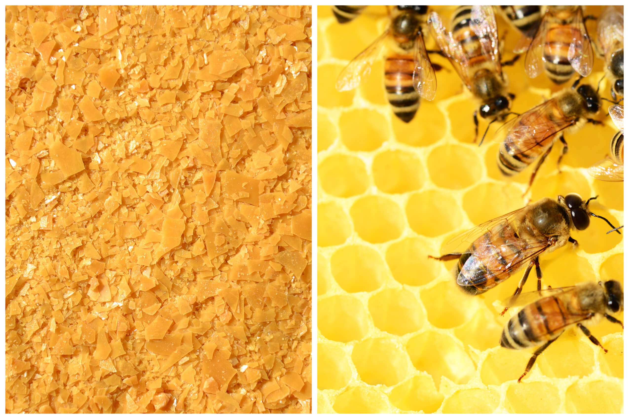 brazilian wax and bees wax